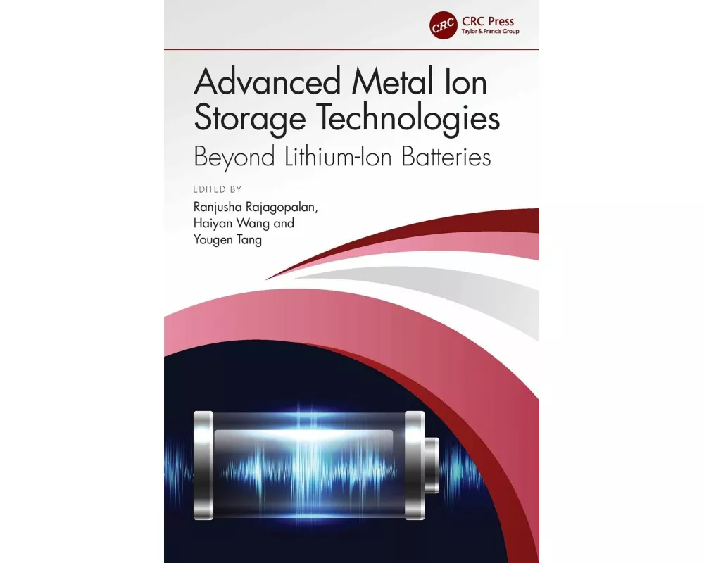Advanced Metal Ion Storage Technologies