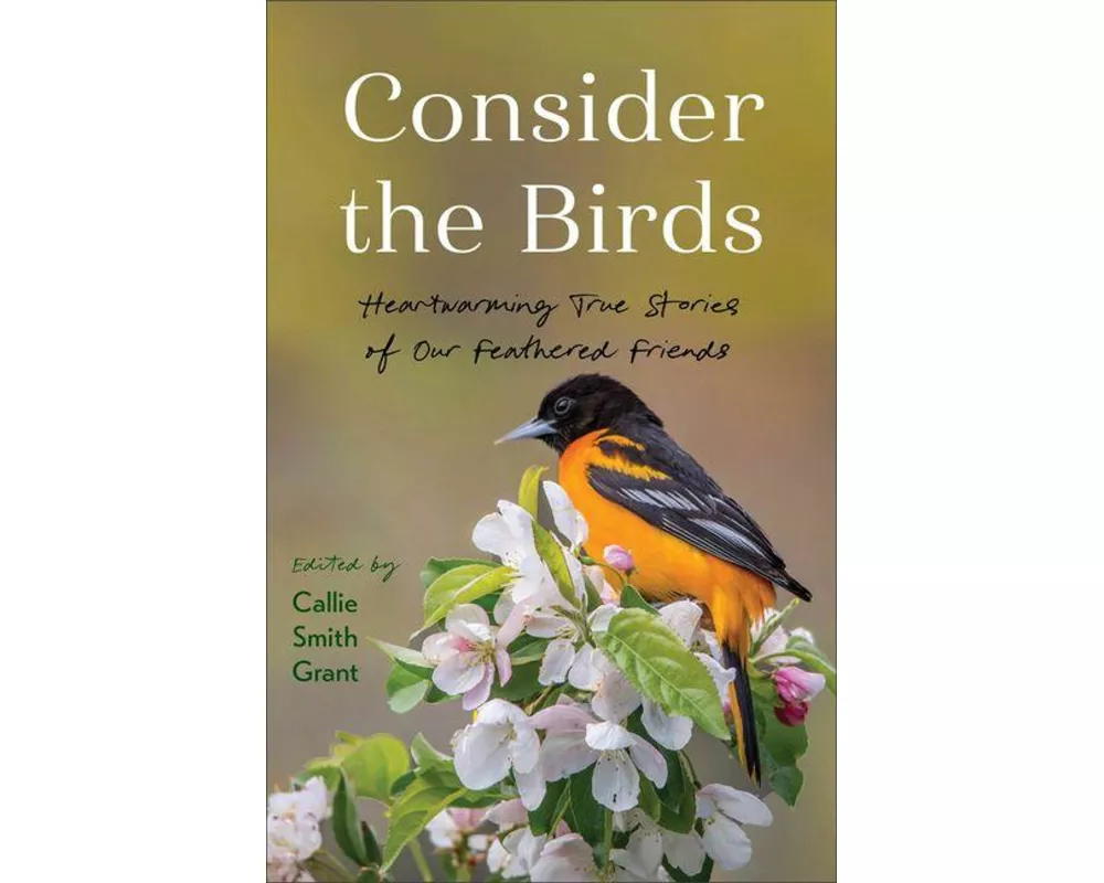 Consider the Birds