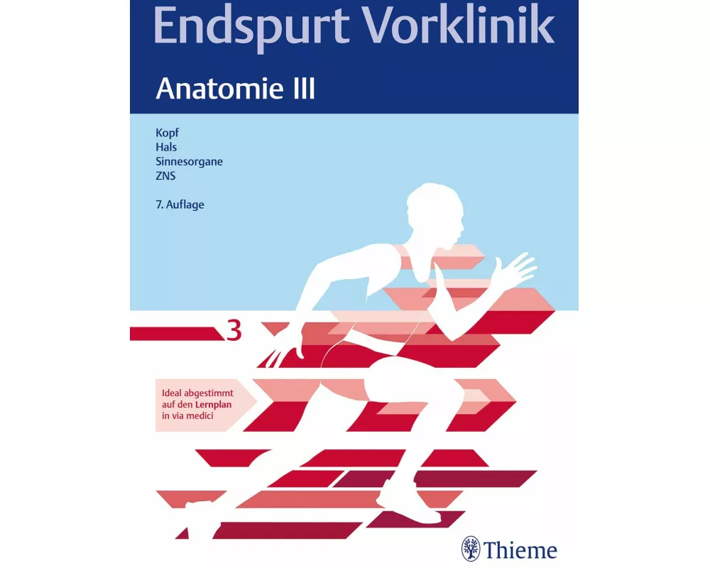 Endspurt Vorklinik: Anatomie III