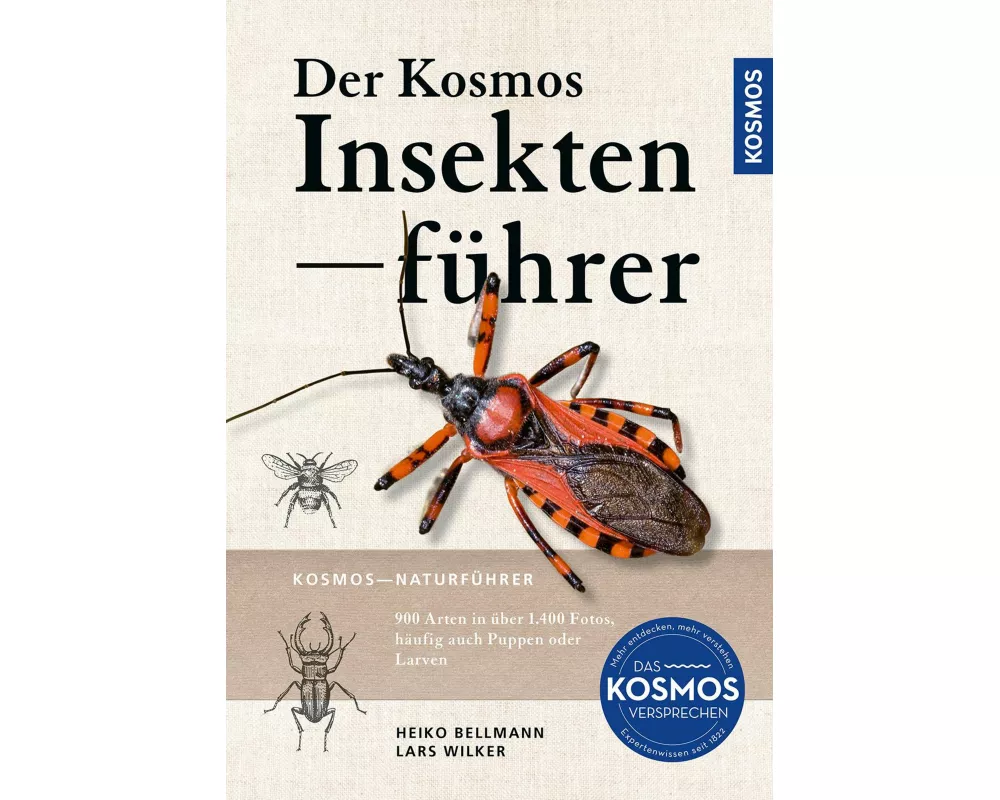 Der KOSMOS Insektenführer