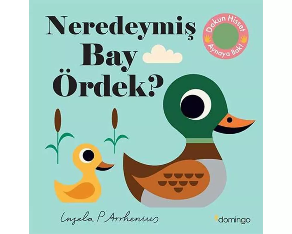 Neredeymis Bay Ördek Ciltli