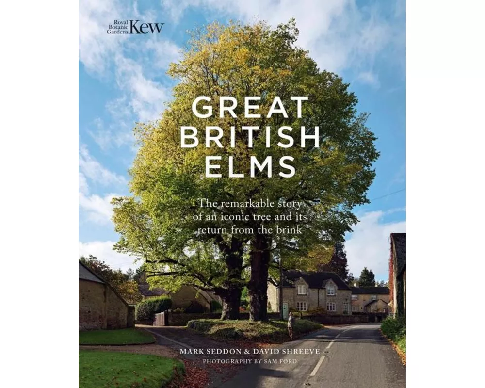 Great British Elms
