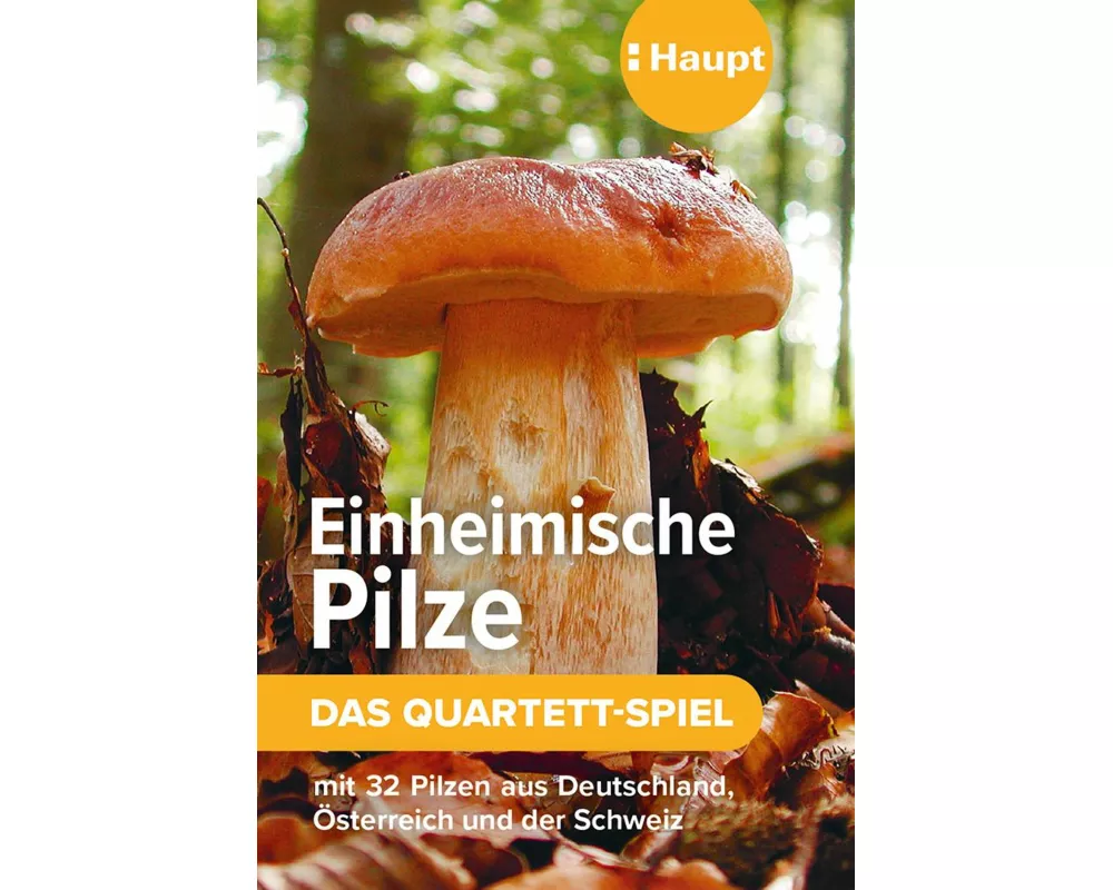 Einheimische Pilze – das Quartett-Spiel