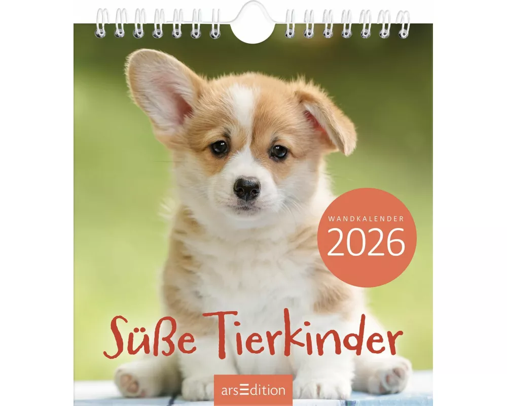 Wandkalender Süße Tierkinder 2026