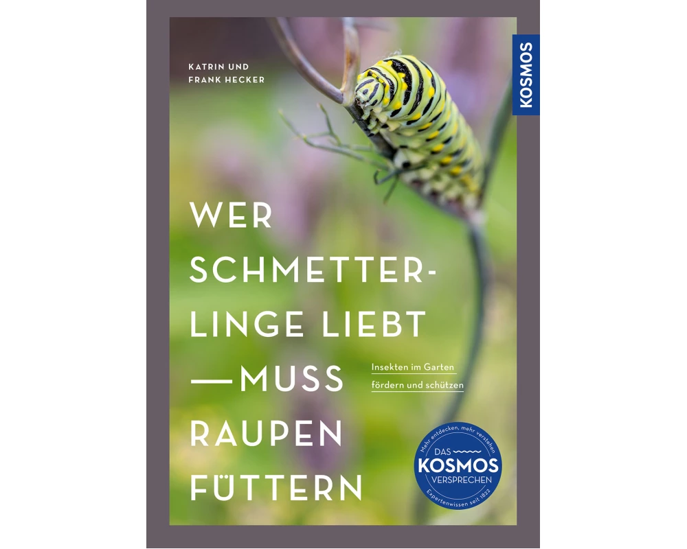 Wer Schmetterlinge liebt, muss Raupen füttern