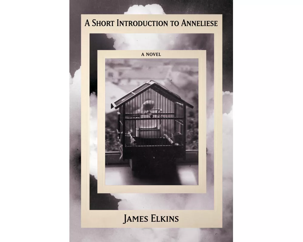 A Short Introduction to Anneliese