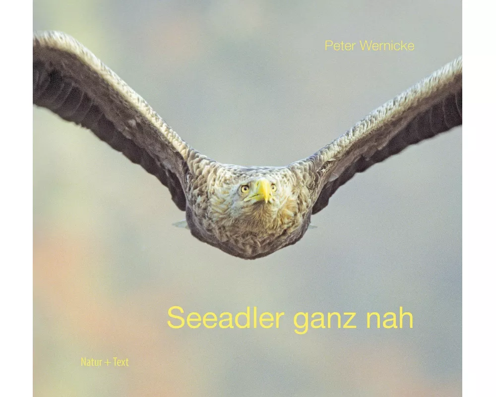 Seeadler ganz nah