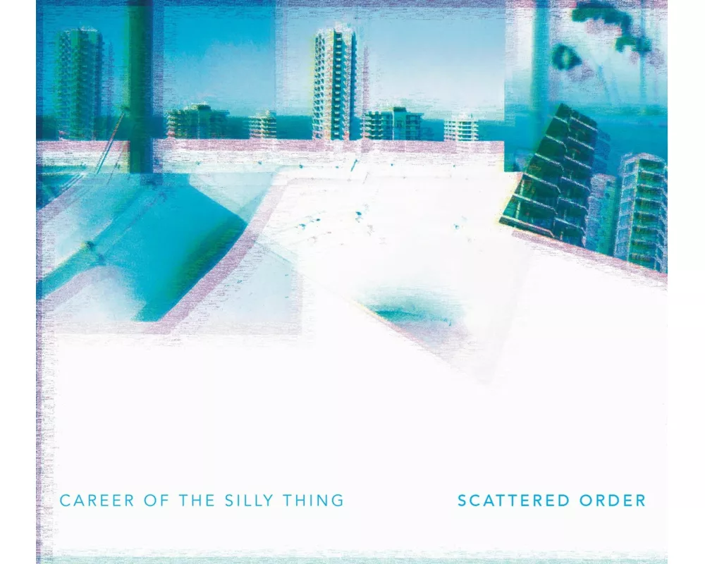 Career Of The Silly Thing