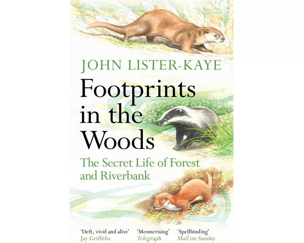 Footprints in the Woods