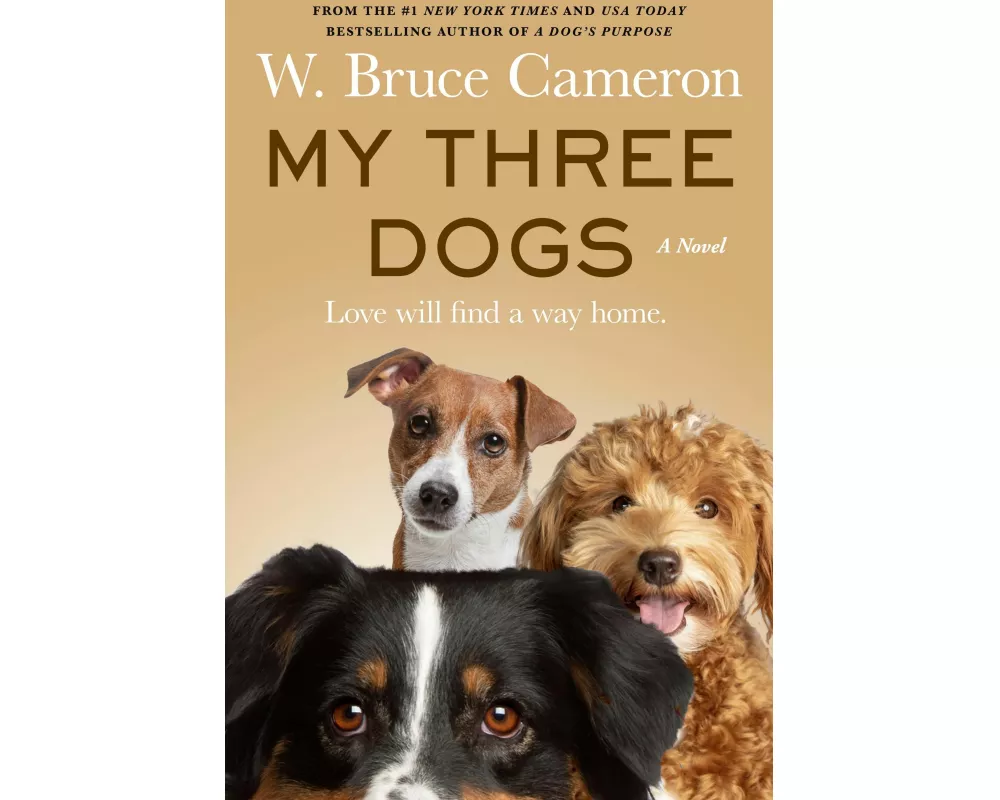 My Three Dogs
