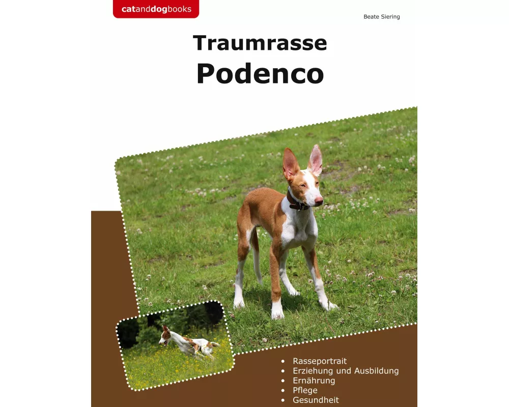 Traumrasse Podenco