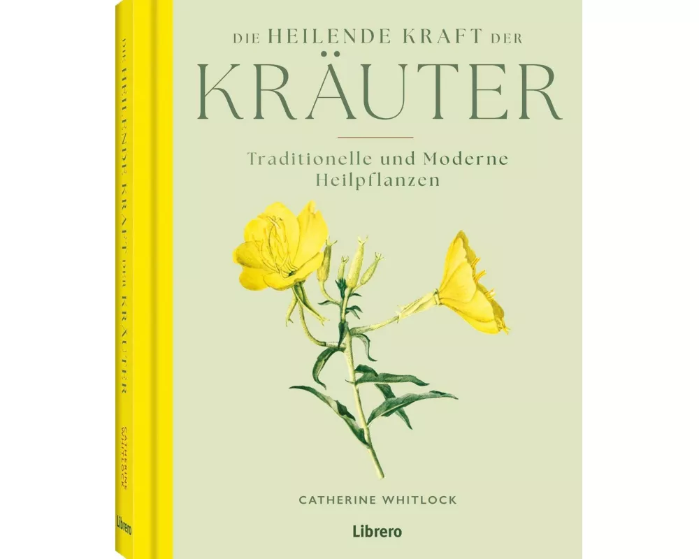 Die heilende Kraft der Kräuter