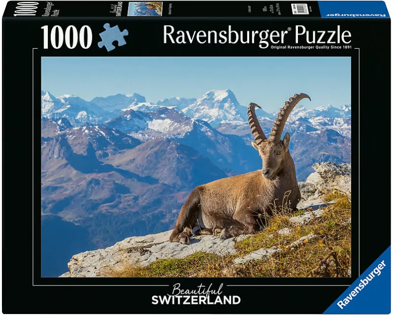 Steinbock im Toggenburg