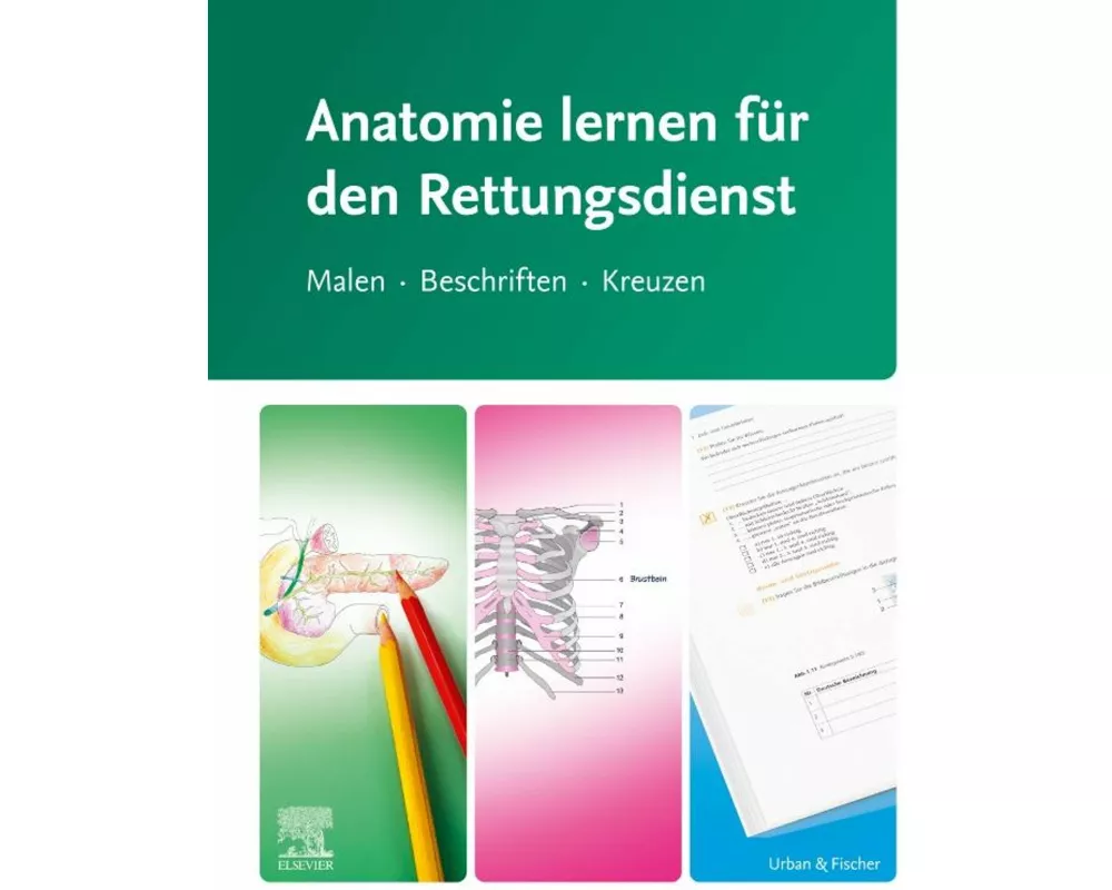 Anatomie lernen für den Rettungsdienst
