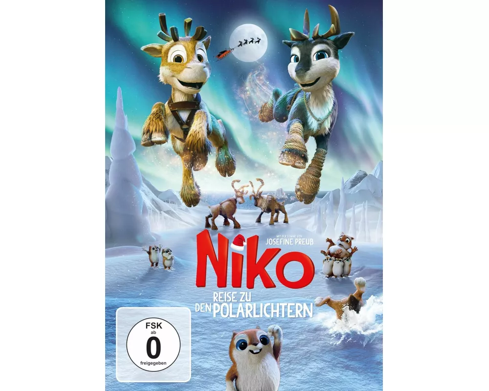 Niko - Reise zu den Polarlichtern