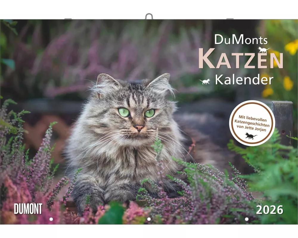 DUMONT - Katzenkalender 2026 – Broschürenkalender 42 x 29 cm mit 12 Katzenportraits, literarischen Geschichten & Schulferienterminen, Wandkalender für