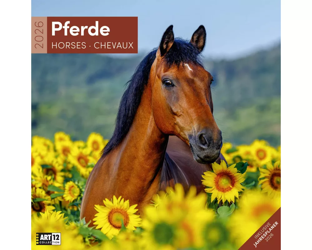 Pferde Broschürenkalender 2026 - 30x30 - Art12