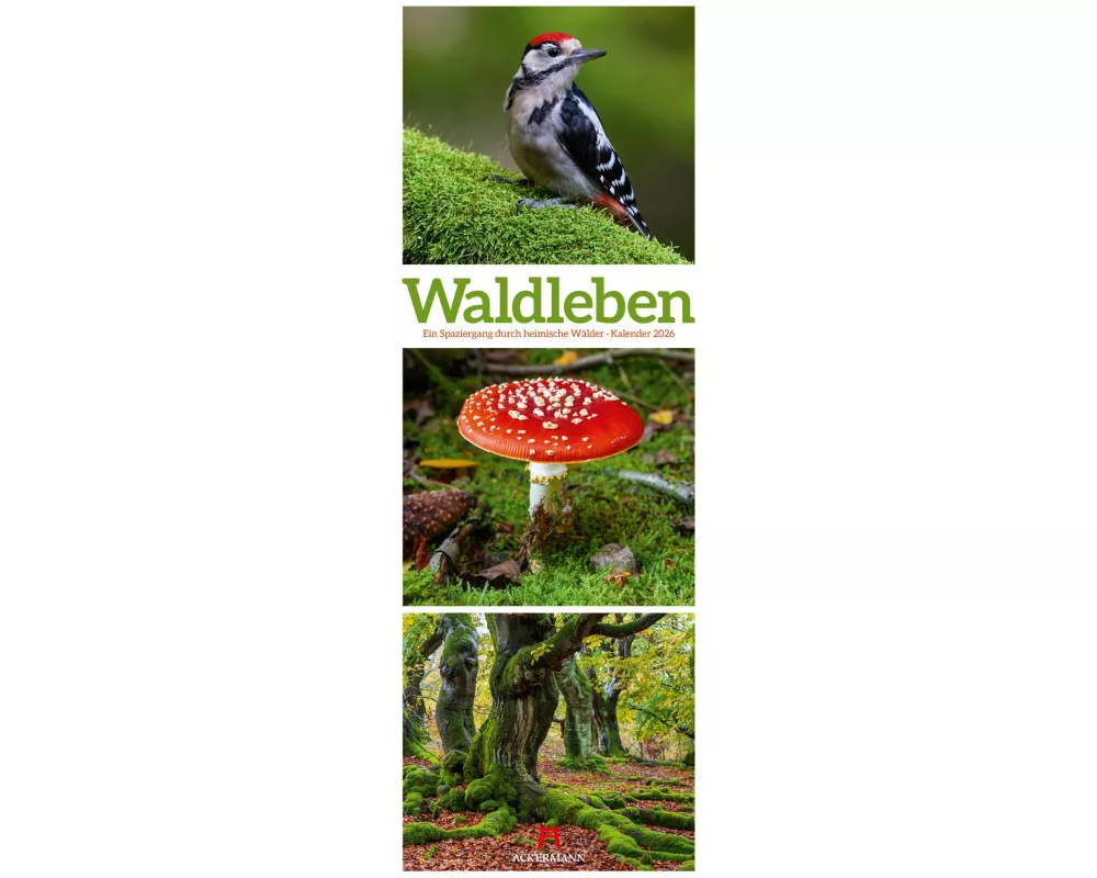 Waldleben Triplet-Kalender 2026 | Spaziergang durch heimische Wälder