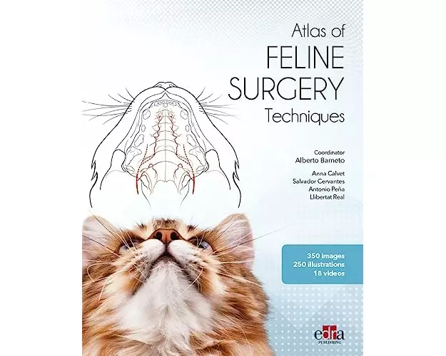 Feline surgery
