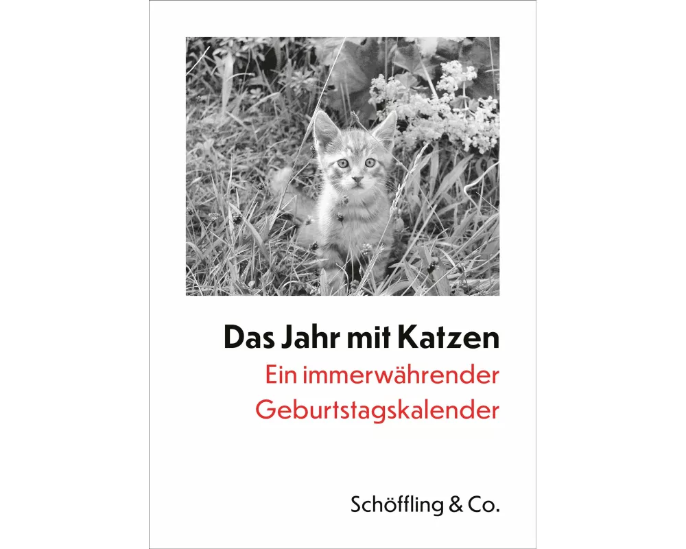 Das Jahr mit Katzen