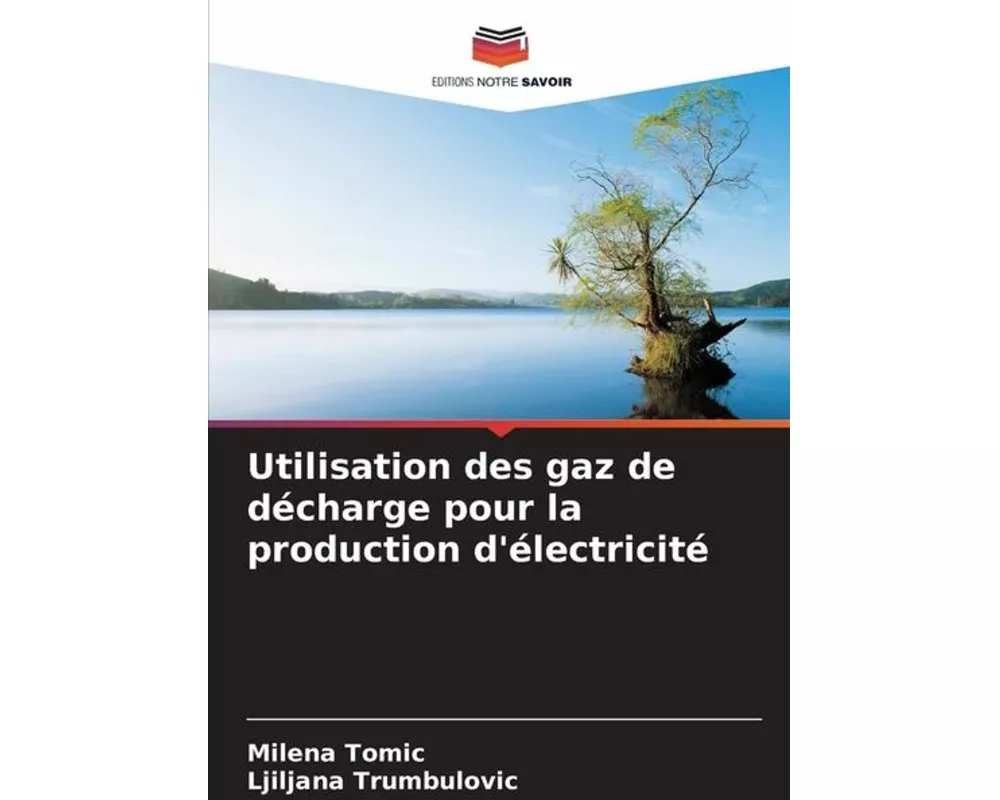 Utilisation des gaz de dcharge pour la production d'lectricit