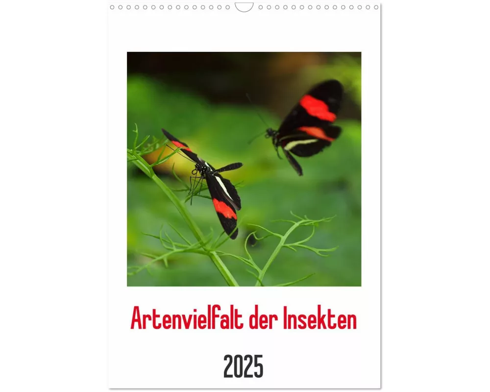 Artenvielfalt der Insekten (Wandkalender 2025 DIN A3 hoch), CALVENDO Monatskalender