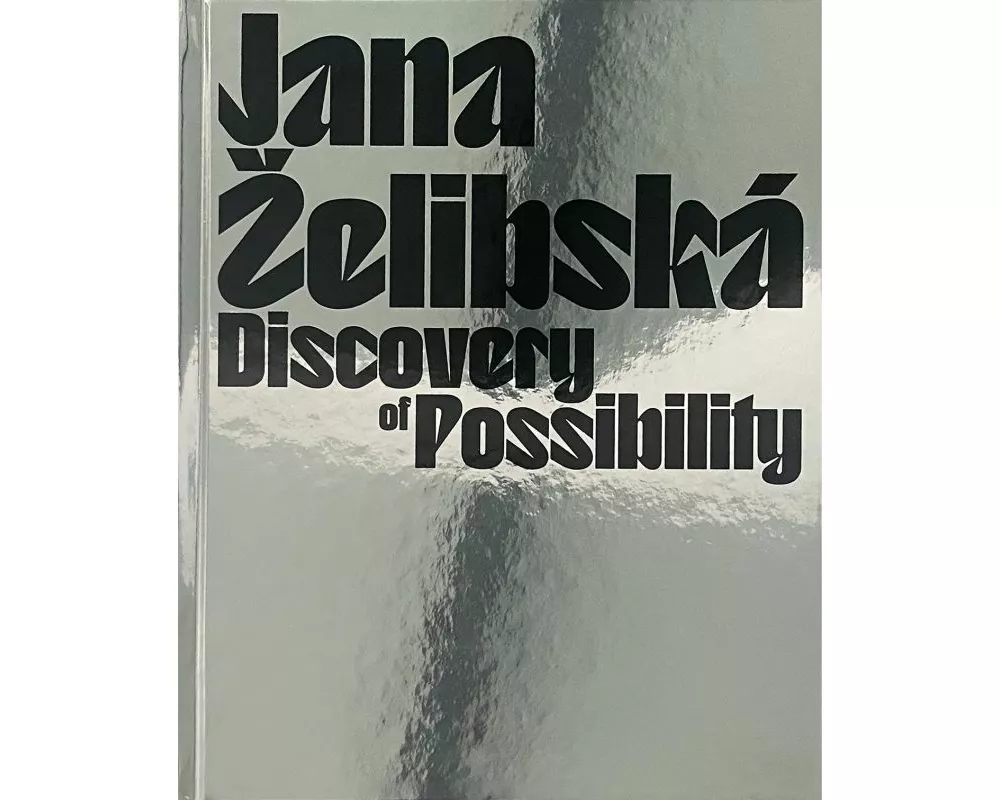 Discovery of Possibility