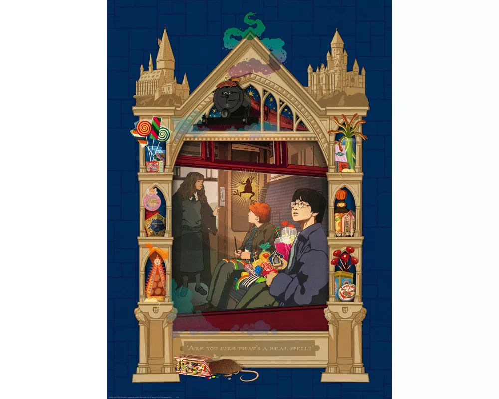 Erwachsenenpuzzle 1000 Teile - Harry Potter auf dem Weg nach Hogwarts