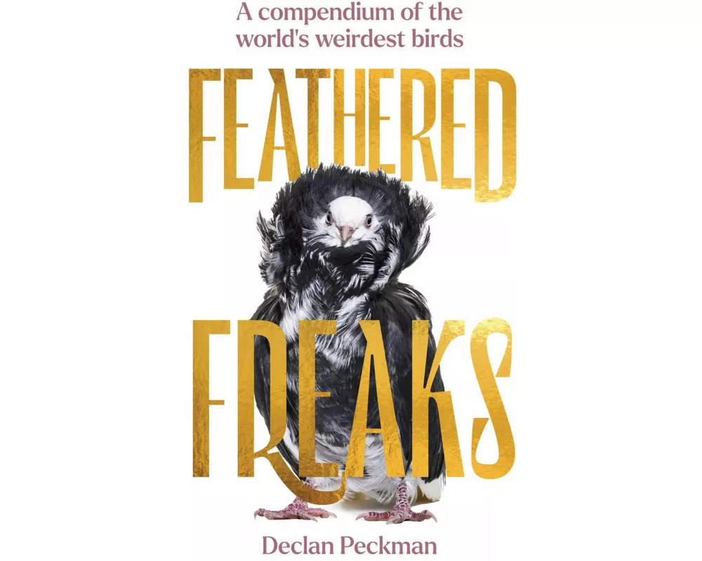 Feathered Freaks