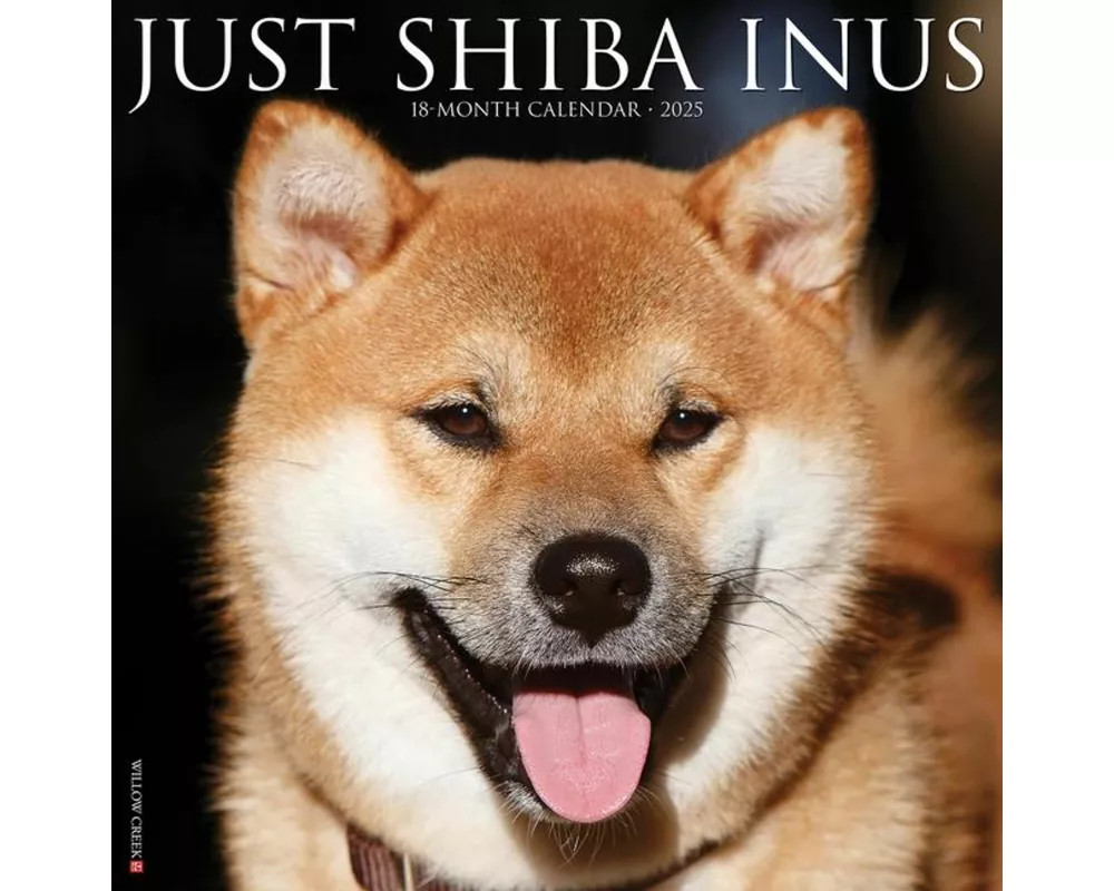 Just Shiba Inus 2025 12 X 12 Wall Calendar