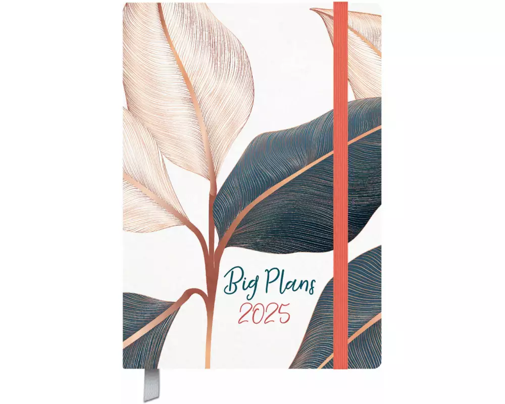 Terminkalender Campus Big Palmen 18 Monate 2025/2026