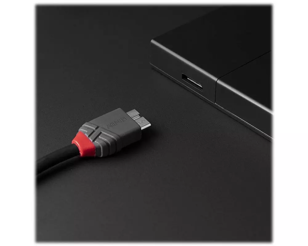 LINDY 0.5m, USB 3.2, Type C, to Micro-B, Cable, Anthra Line