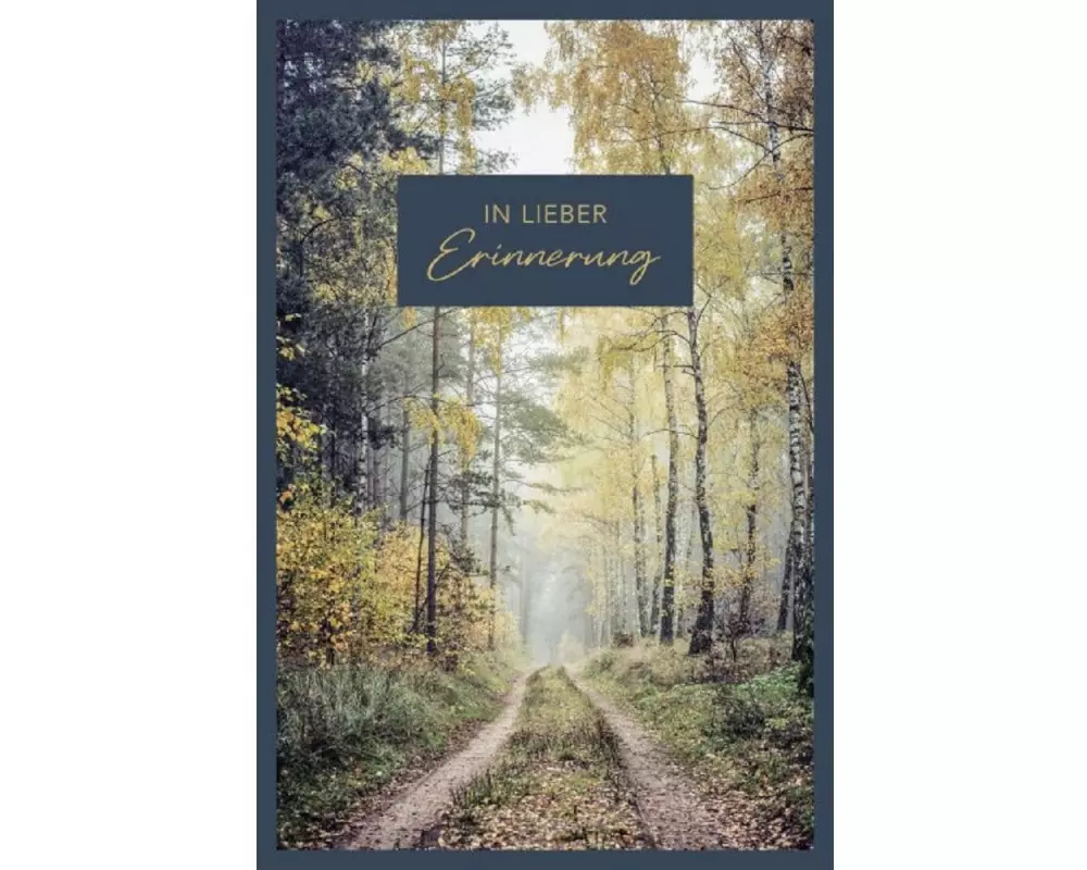 ABC Trauerkarte Wald, B6, mit Couvert