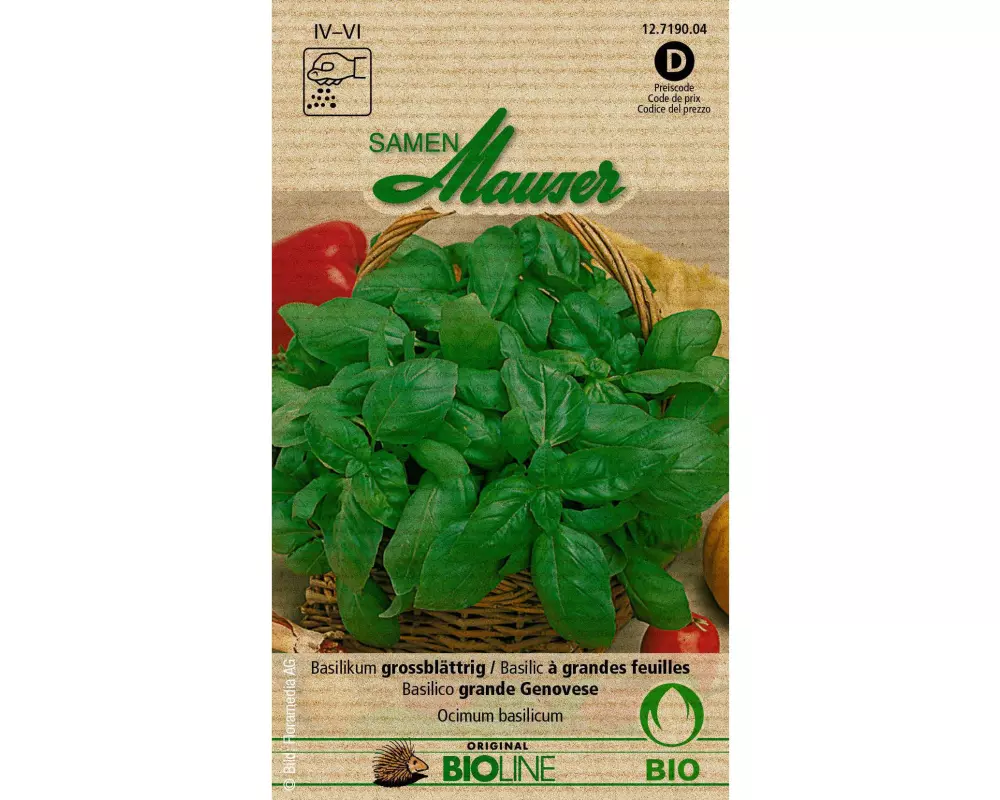 Samen Mauser Samen Bioline Basilikum grossblättrig