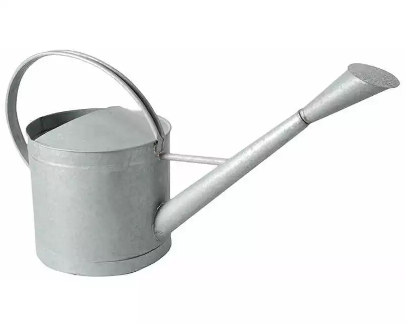 Esschert Design Giesskanne 9 l Zink