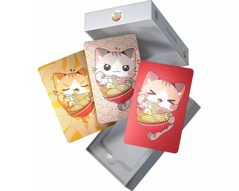 bitConsult Tangem 2.0 Ramen 3 Karten Set