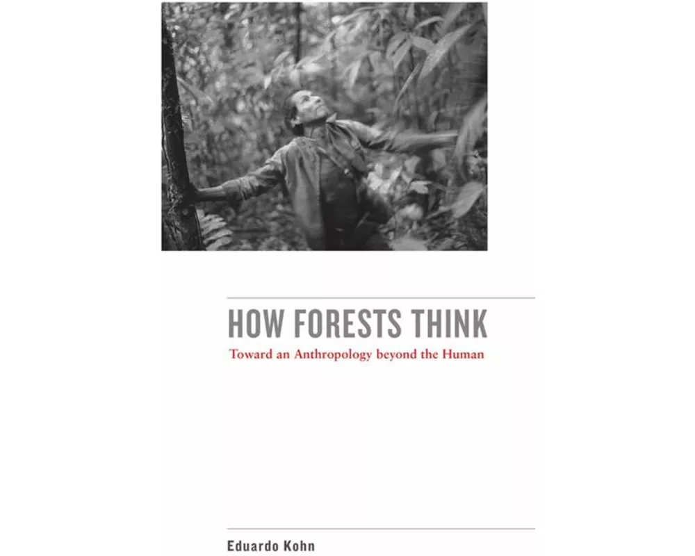 How Forests Think