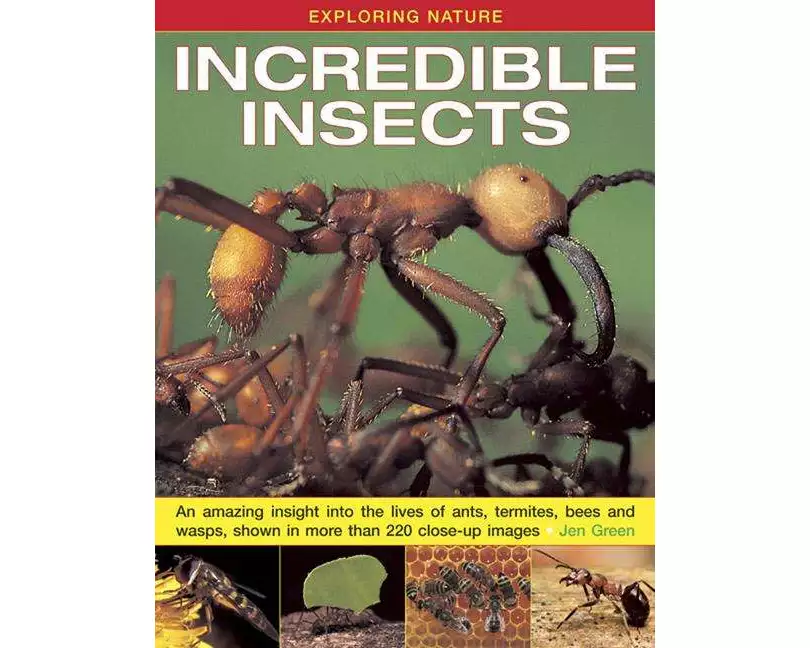 Exploring Nature: Incredible Insects: An Amazing Insight into the Lives of Ants, Termites, Bees and Wasps, Shown in More Than 220 Close-up Images