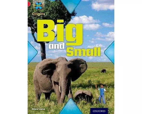 Project X Origins: Red Book Band, Oxford Level 2: Big and Small: Big and Small