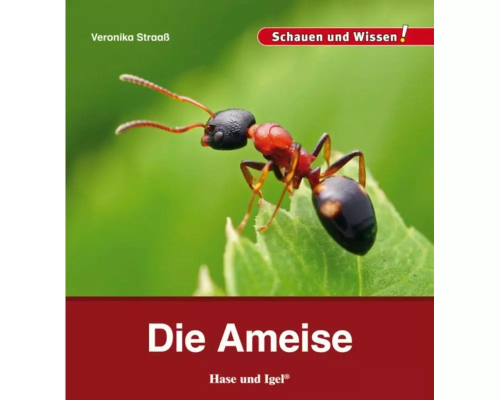 Die Ameise
