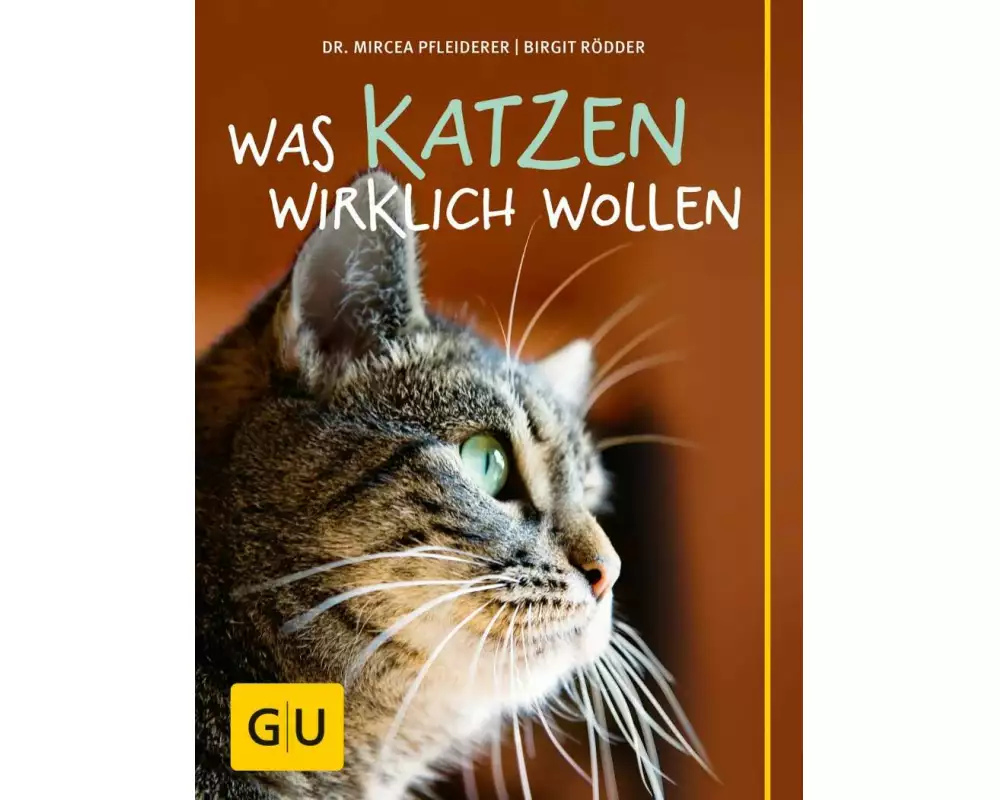 Was Katzen wirklich wollen