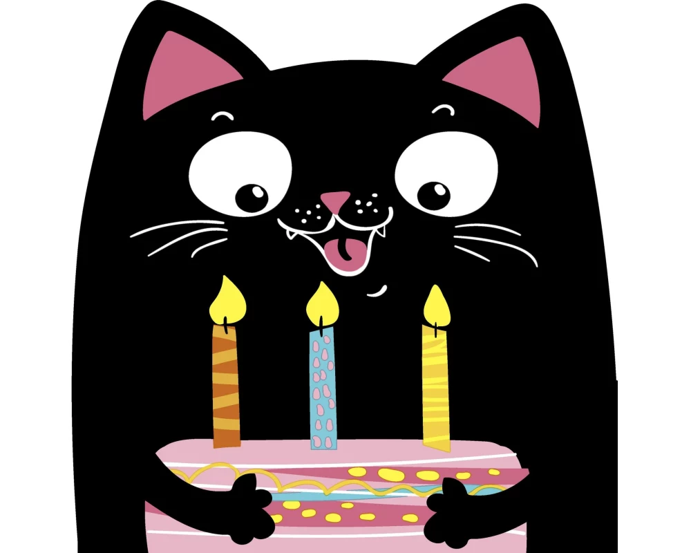 Paper + Design Papierservietten Party Cat 33 cm x 33 cm, 12 Stück