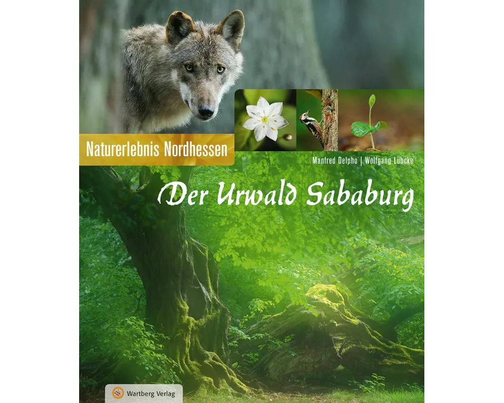 Der Urwald Sababurg