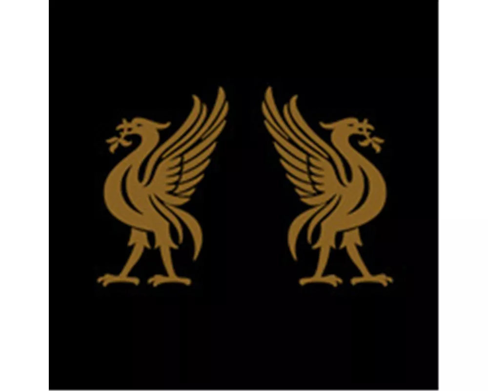 Liverbirds