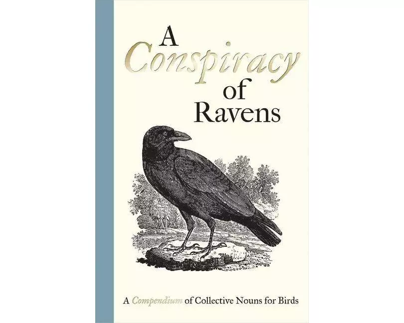 A Conspiracy of Ravens