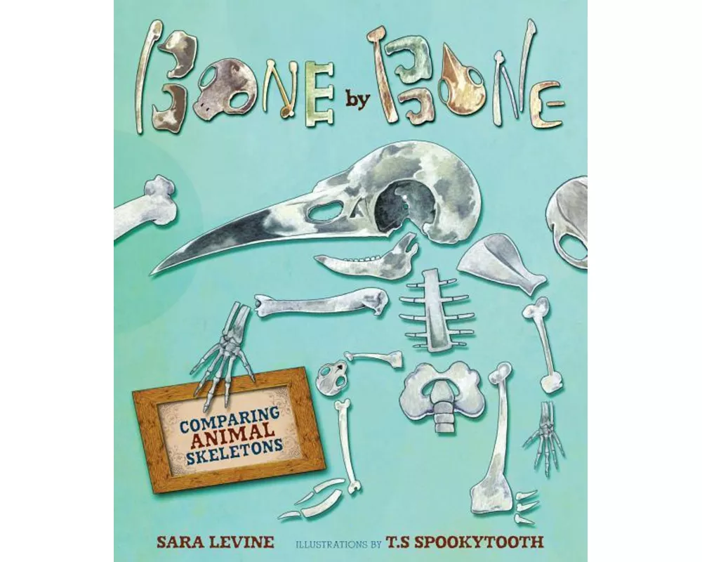 Bone By Bone