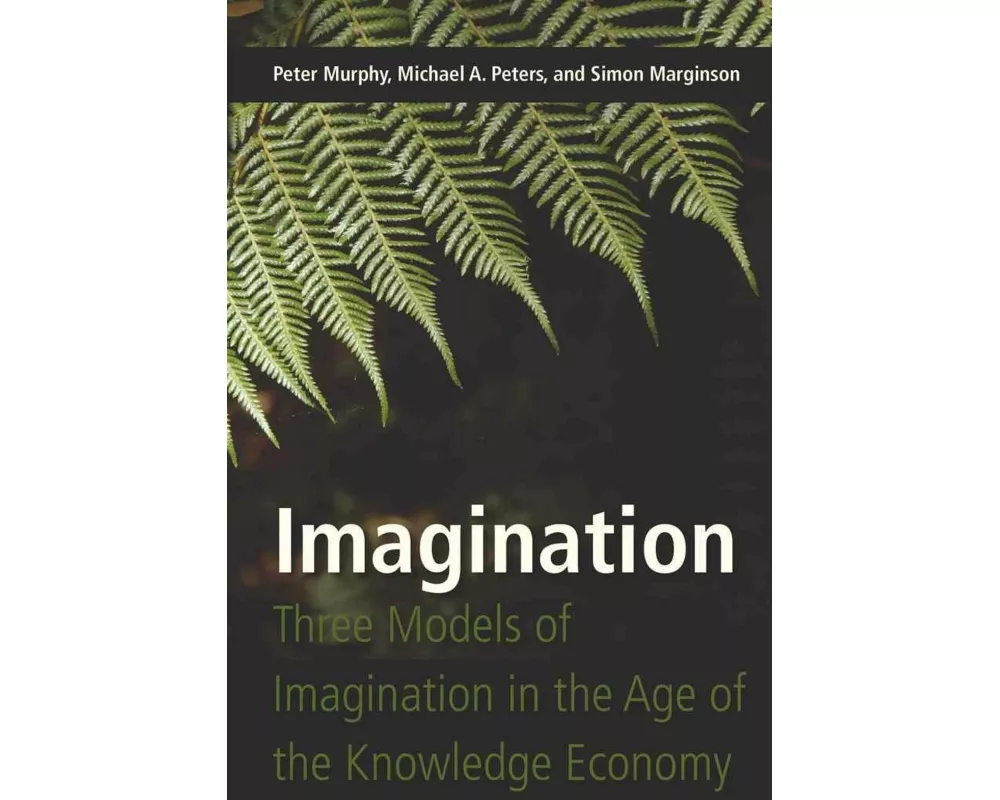 Imagination