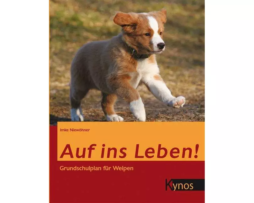 Auf ins Leben!