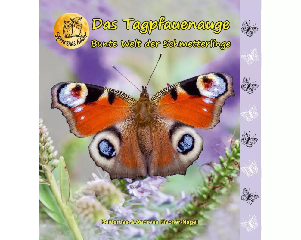 Bunte Welt der Schmetterlinge