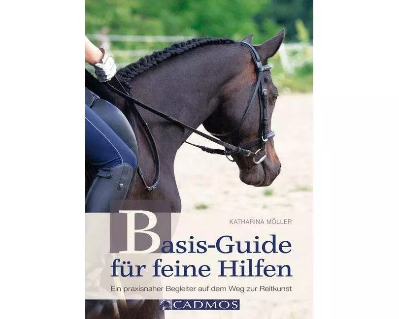 Basis-Guide für feine Hilfen